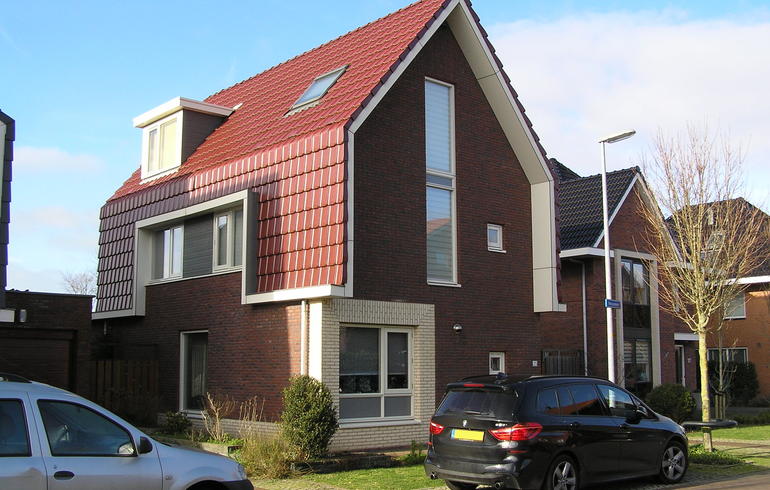 Duinroos