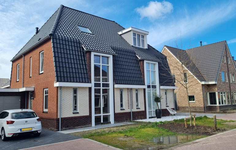 Hoornbloem - 1