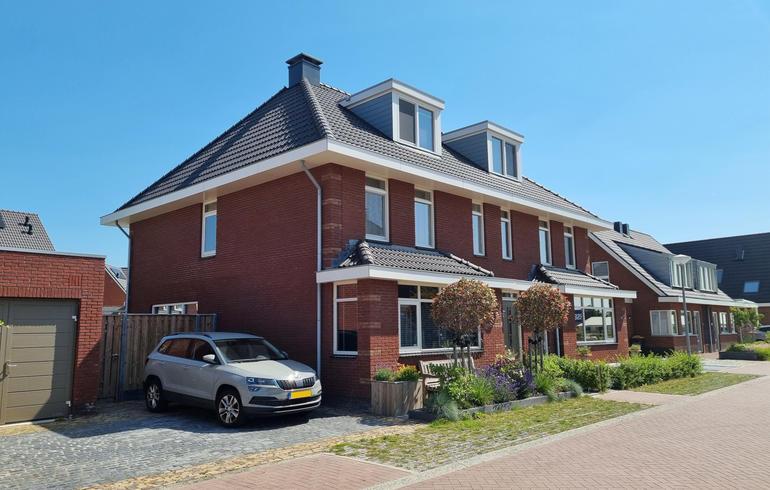 Korenbloem