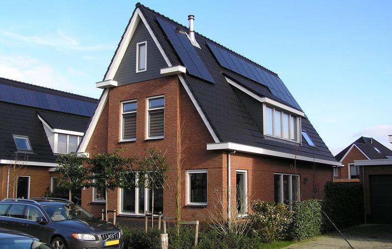 Sleutelbloem