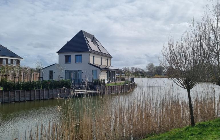 Waterlelie - 1