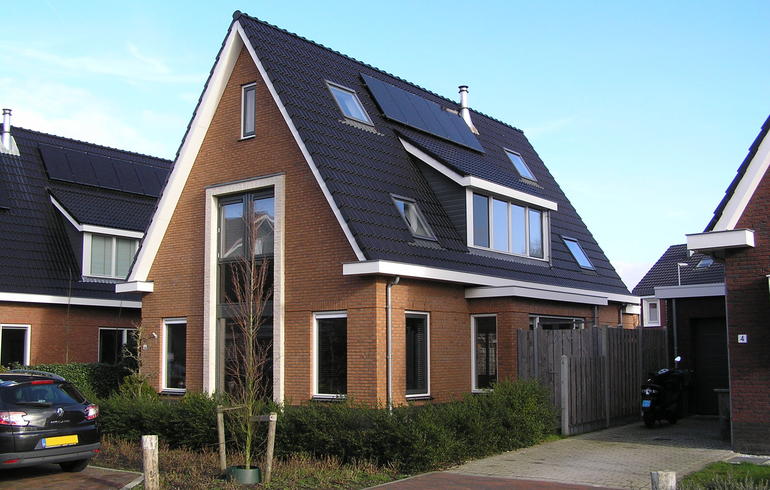 Zilverschoon