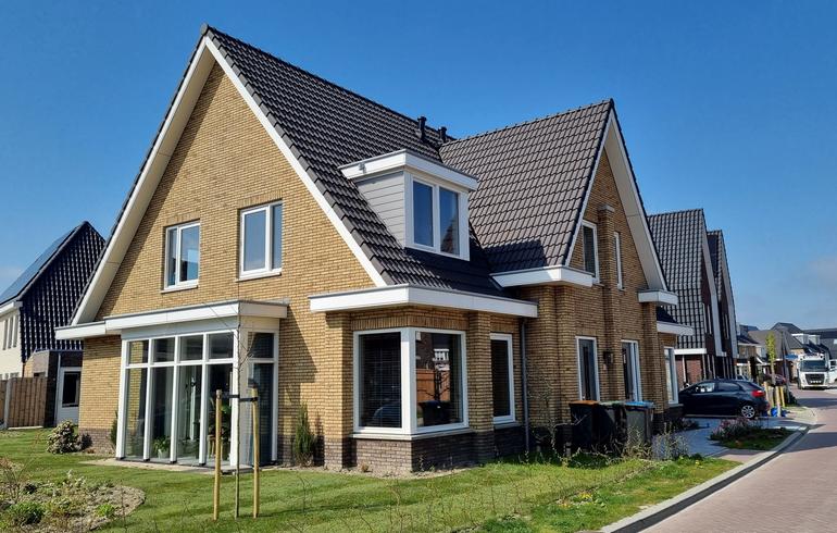 Zonnebloem