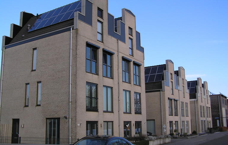 Galjoen - 1
