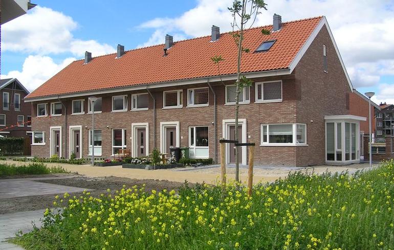 Damvecht