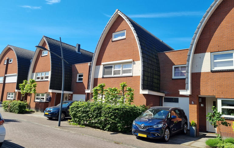 Wormer - 3