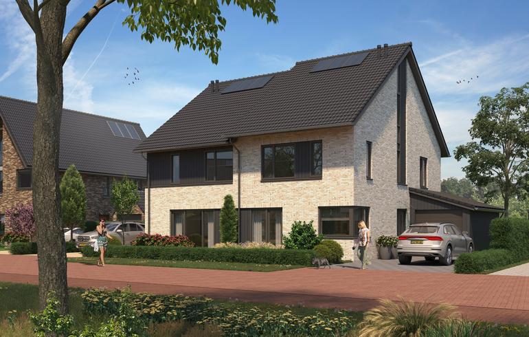 Impressie Huiszwaluw